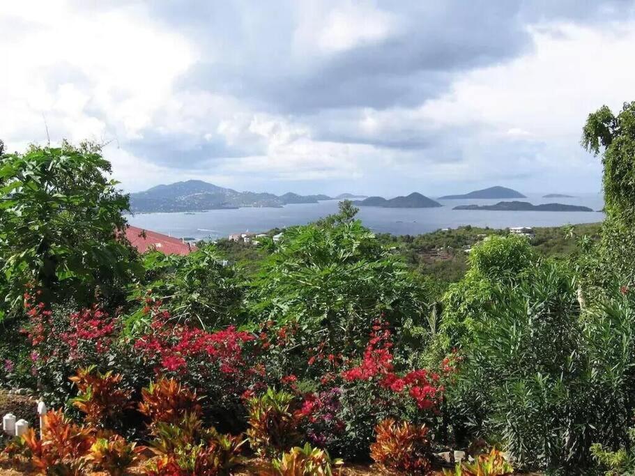 Cielo Vista Villa 3 Bdrm Sleeps 6 Heavenly View Cruz Bay Kültér fotó